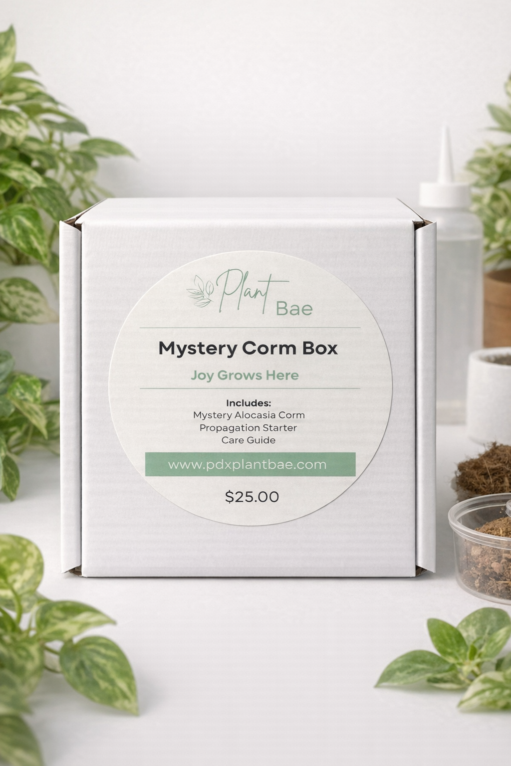 Mystery Corm Box