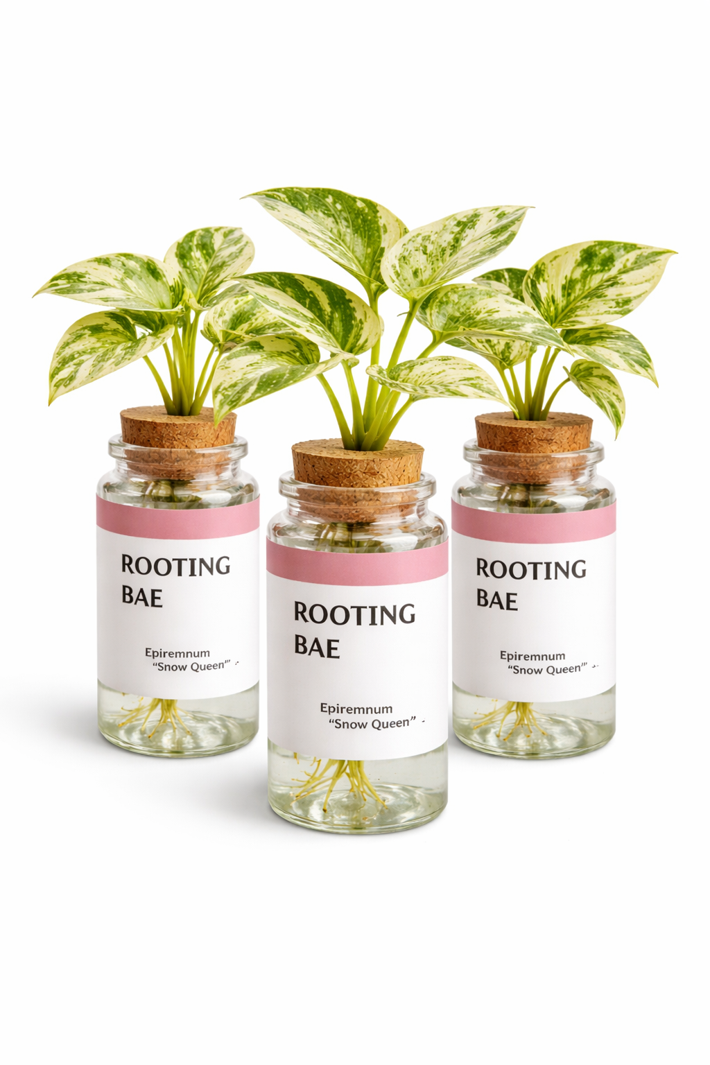 Rooting Bae - 'Snow Queen' Prop